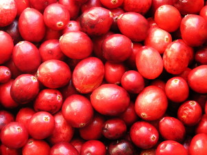 Cranberry – gut für die Blasengesundheit